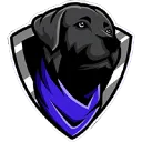 StrayDogTV