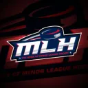 Minor League Hockey