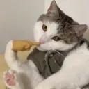 Bob's Servetti