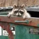 Trash Network