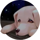 Shameful Guys Dev | Bangkok Story: A Stray Dog