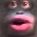 r/UhOhStinky