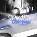 Squall Gaming