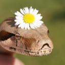 Tropiciele Przyrody・🐍