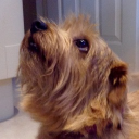 Discovery icon for Lunaria - Eternia Discord server