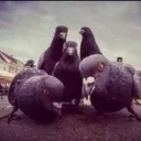 Vurrl