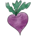 Turnip Garden