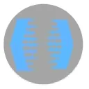 OIC/bmc miner