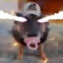 The Big Leagues Discord Server Icon