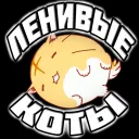 Ленивые коты