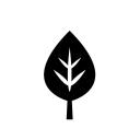 Reef Server icon