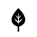 Reef Server icon