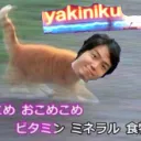 メソロギア神的遊戯