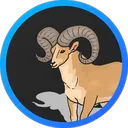 Ovis Development