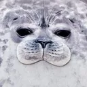 ikihasealwatch