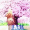 Sakurasou