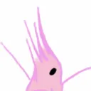 ✨Shrimp supremacy✨