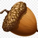 NoNutNovember
