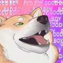 Stinky Shibe Zone