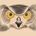 Knowledge Mavens's icon