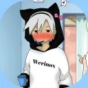 Weri Corp