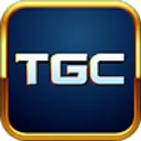 TheGamingChief