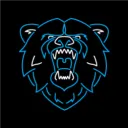 Belong Ballymena Bears
