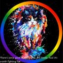Kendra Kat Foundation Discord Server Icon