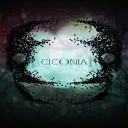 Ciconia Game