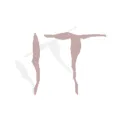 IT
