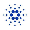 Cardano Fans