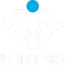 Wwise_Discord