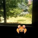SQL Pokemon