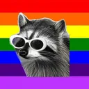 Raccoon Lounge