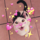 𝓅𝒾𝓃𝑒𝒶𝓅𝓅𝓁𝑒 𝒸𝒶𝓉 ～ ♡ icon