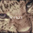 ︵ 𐔌. sofkey ꪆ⏜ׅ  ♡