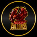 Team Falcones icon