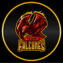 Discovery icon for Team Falcones Discord server