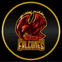 Team Falcones discord icon