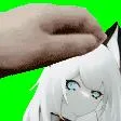 朝霧鯖