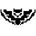 Owls