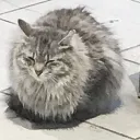 ろくろくさーば
