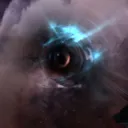 Polarized Wormhole Exploration