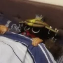 Gaypex Legends