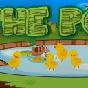 The Pond