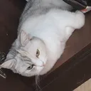 ☕部屋