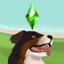 The Sims & Paralives CZ/SK Discord Server Icon