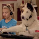 The Dog with a Blog YTP Collab 2