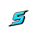 Saltys Server