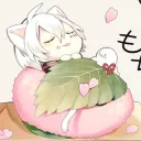 ‧₊˚ ˊᵕˋ MOCH¡ 🌸 ₊˚๑